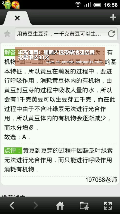半岛体育：缅甸大选投票活动结束 投票率达80%