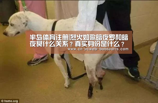 半岛体育注册|烈火如歌暗夜罗和暗夜冥什么关系？真实身份是什么？