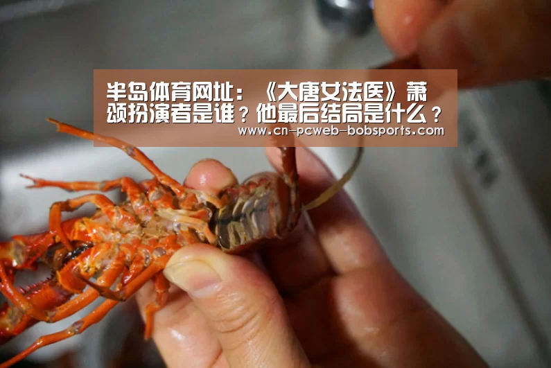 半岛体育网址:《大唐女法医》萧颂扮演者是谁?他最后结局是什么?(图3) 半岛体育APP