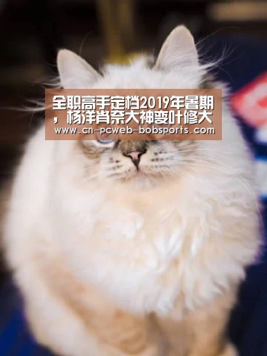 全职高手定档2019年暑期，杨洋肖奈大神变叶修大神：半岛体育网址