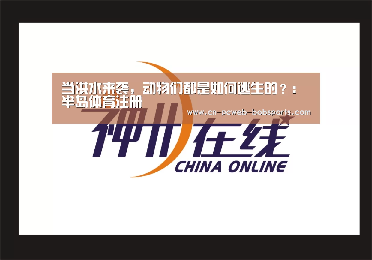 当洪水来袭，动物们都是如何逃生的？：半岛体育注册