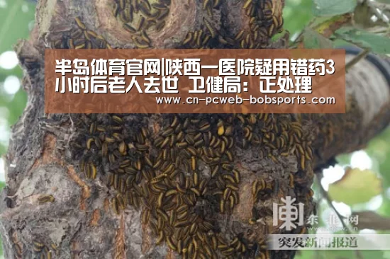 半岛体育官网|陕西一医院疑用错药3小时后老人去世 卫健局：正处理