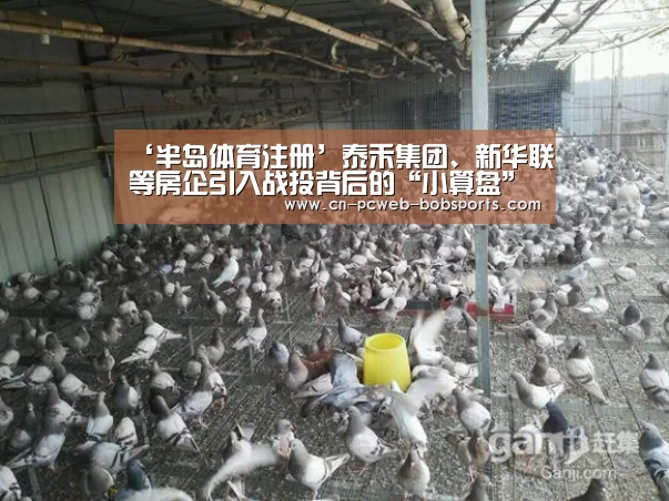 ‘半岛体育注册’泰禾集团、新华联等房企引入战投背后的“小算盘”