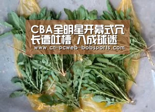 CBA全明星开幕式冗长遭吐槽 八成球迷称“已睡着”_半岛体育APP