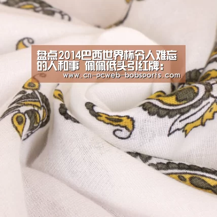 盘点2014巴西世界杯令人难忘的人和事 佩佩低头引红牌：半岛体育注册