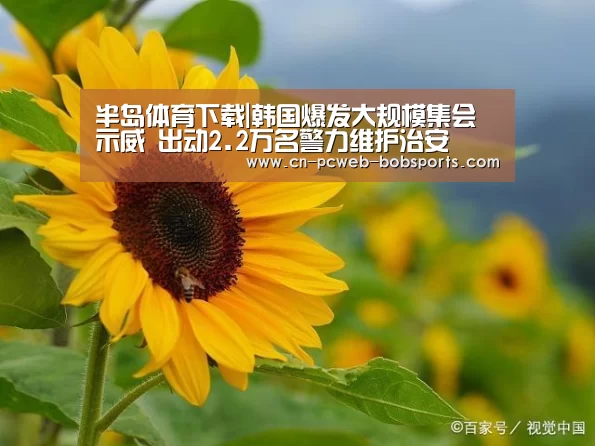半岛体育注册
