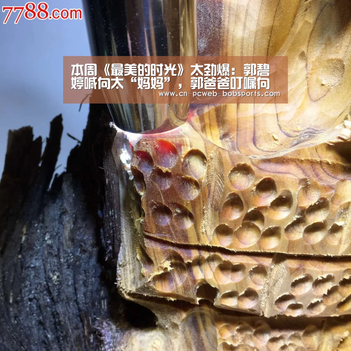 本周《最美的时光》太劲爆:郭碧婷喊向太“妈妈”,郭爸爸叮嘱向佐“要努力”【半岛体育】(图4) 半岛体育娱乐