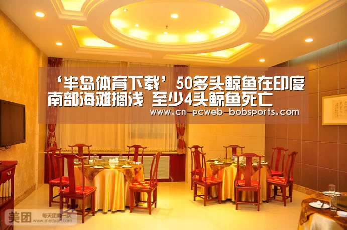 ‘半岛体育下载’50多头鲸鱼在印度南部海滩搁浅 至少4头鲸鱼死亡
